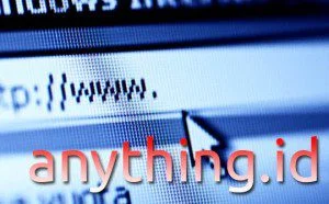 domain-anything-id
