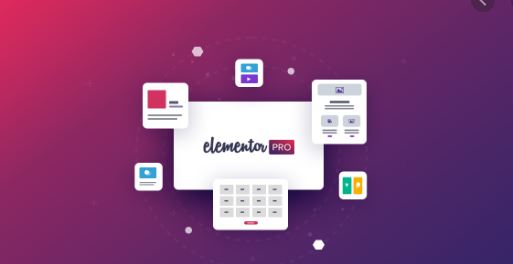 Ciri Elementor Pro tidak original elementor pro original