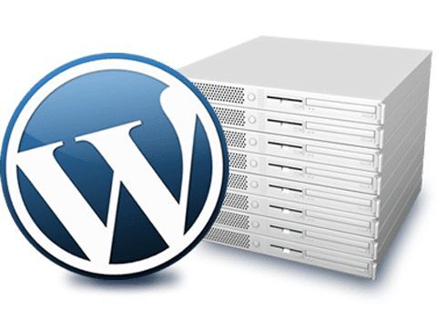 dedicated wordpress hosting