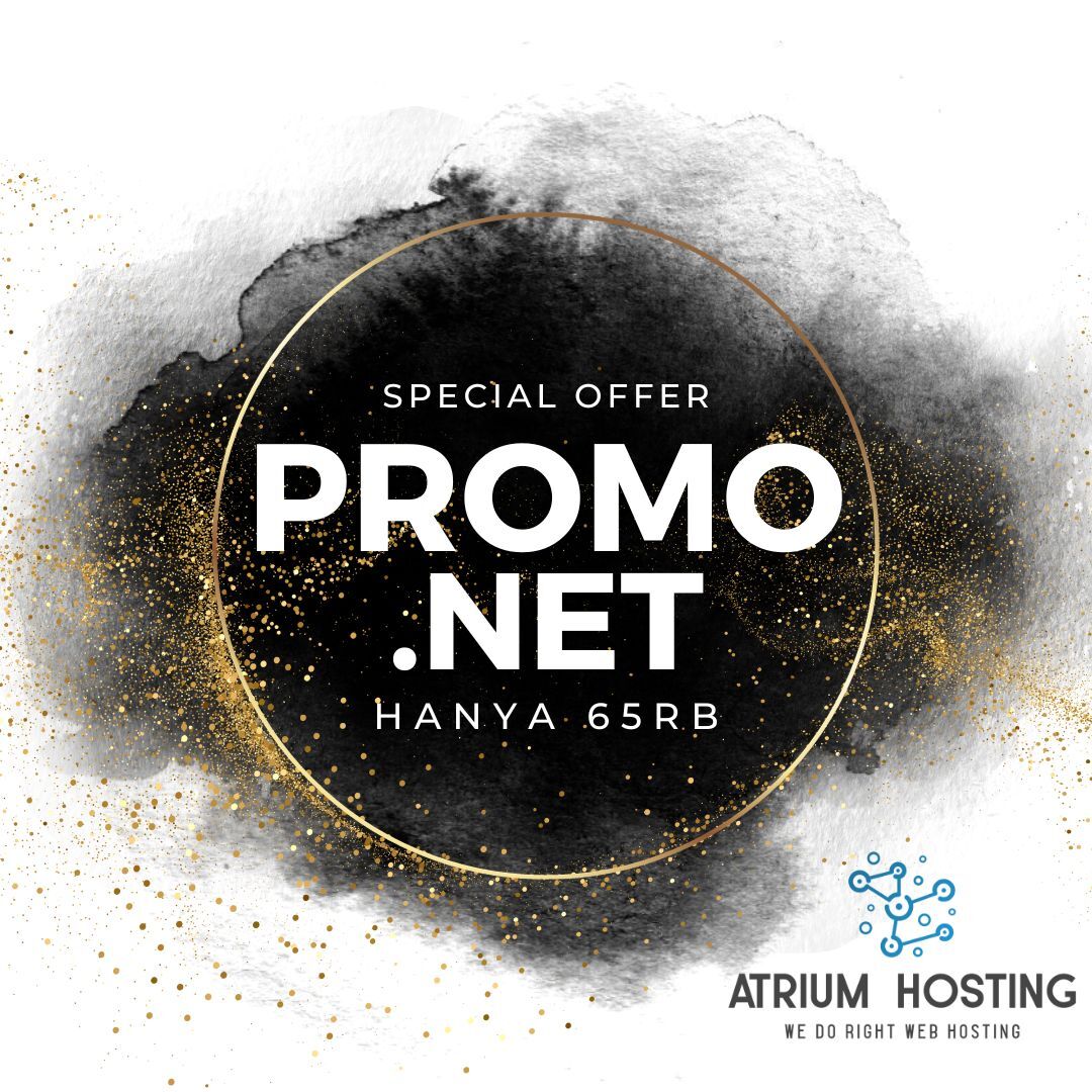 promo domain .net